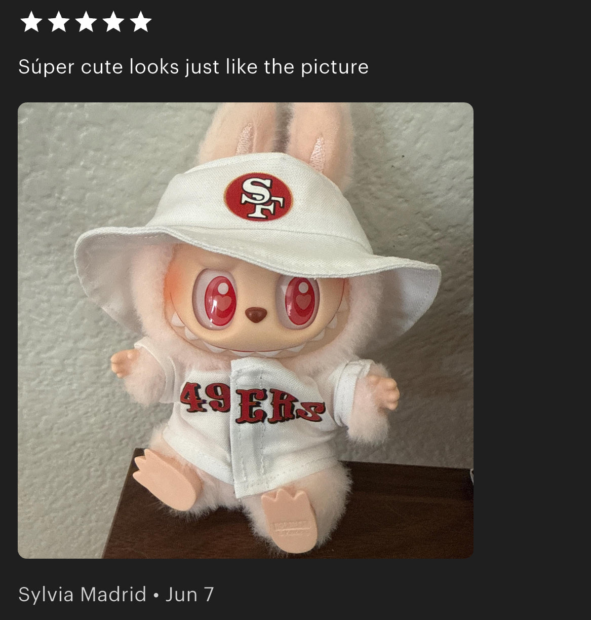 49ers Jersey Hat Labubu Clothes Set