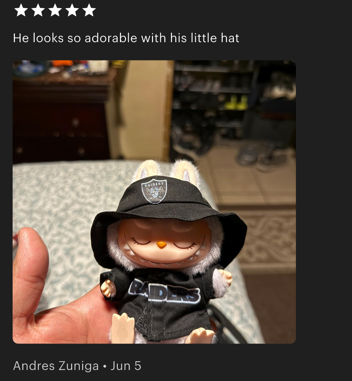 Raiders Jersey Hat Labubu Clothes Set